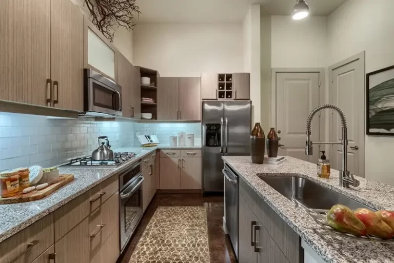 Apartment for rent in downtown Dallas